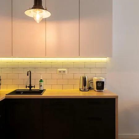 Apartament Green Loft In Cracow City Centre