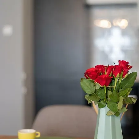 Green Loft In Cracow City Centre
