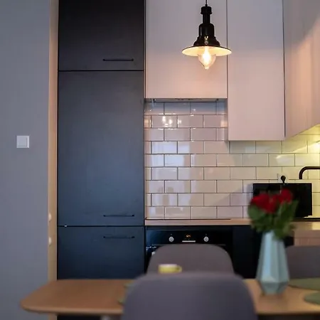 Green Loft In Cracow City Centre Apartament